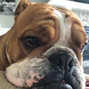 Meet your Posher, Dylan